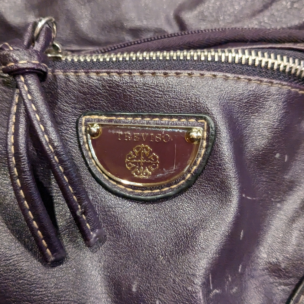 Medium Treviso Handbag